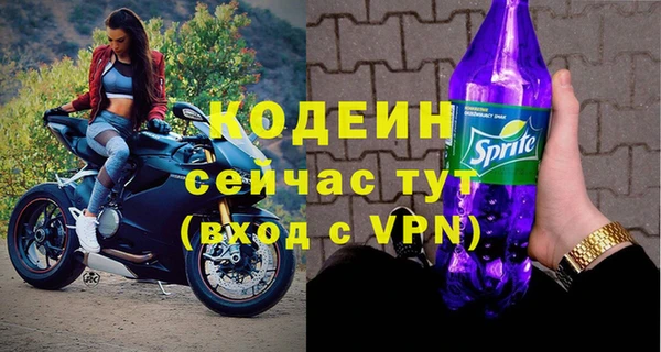 соль ск Вяземский